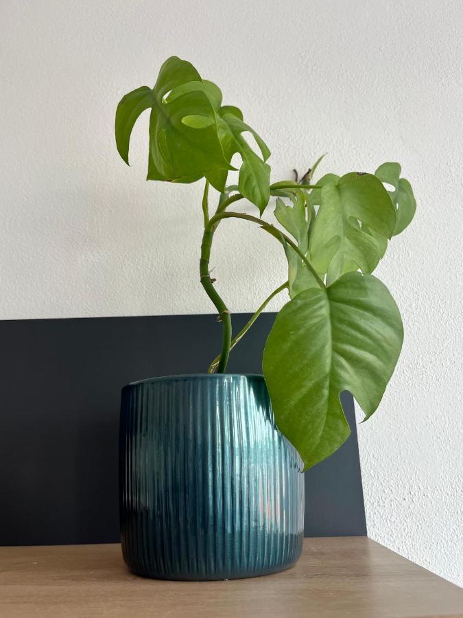 Ferienwohnung Monstera I Kolín Exterior foto